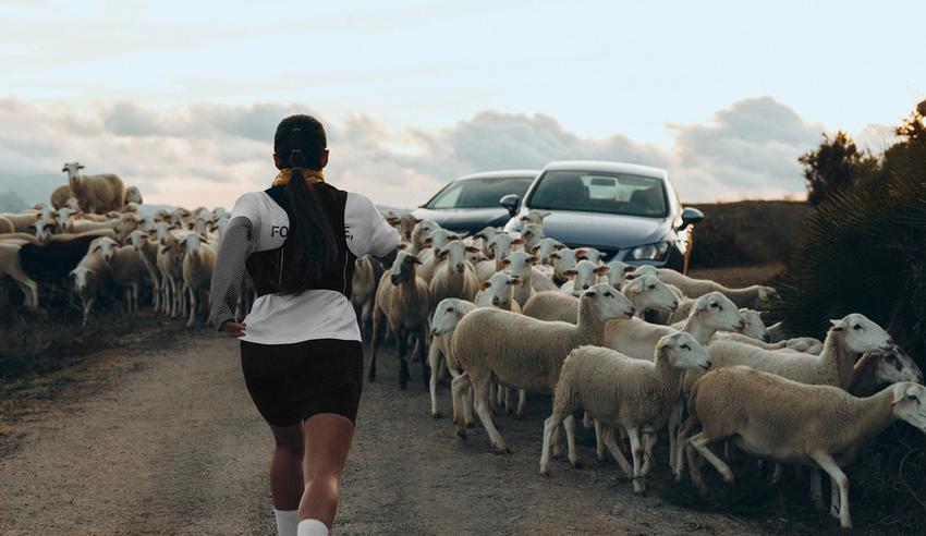 Футболка Boxy с надписью из смесового хлопка