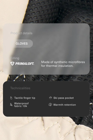 Технические перчатки для горных лыж PRIMALOFT®- Заказать в России