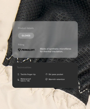 Технические перчатки для горных лыж PRIMALOFT®- Заказать в России