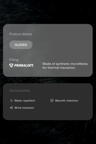 Технические рукавицы Ski Primaloft®- Заказать в России